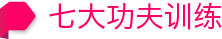 七大功夫训练