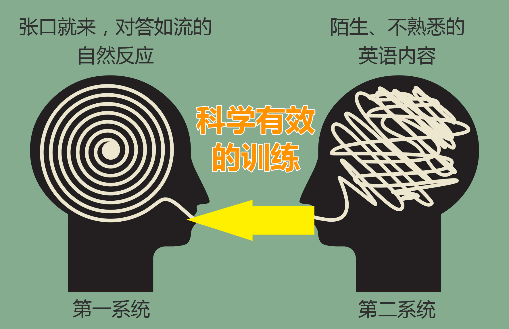 train_the_brain's_second_system---second-to-first.jpg