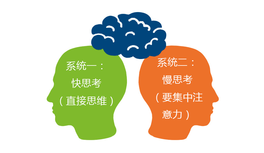 train_the_brain's_second_system---system.jpg